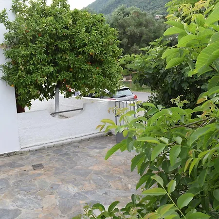 Gorgona Apartment